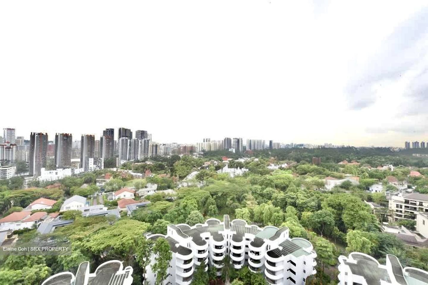 Regency Park (D10), Condominium #635067491